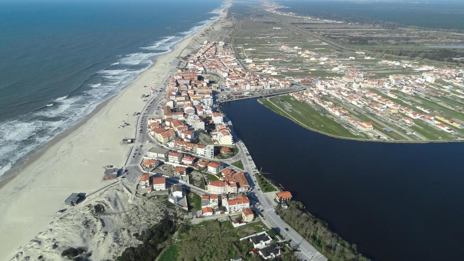 Forest Terrace Praia De Mira Eksteriør billede